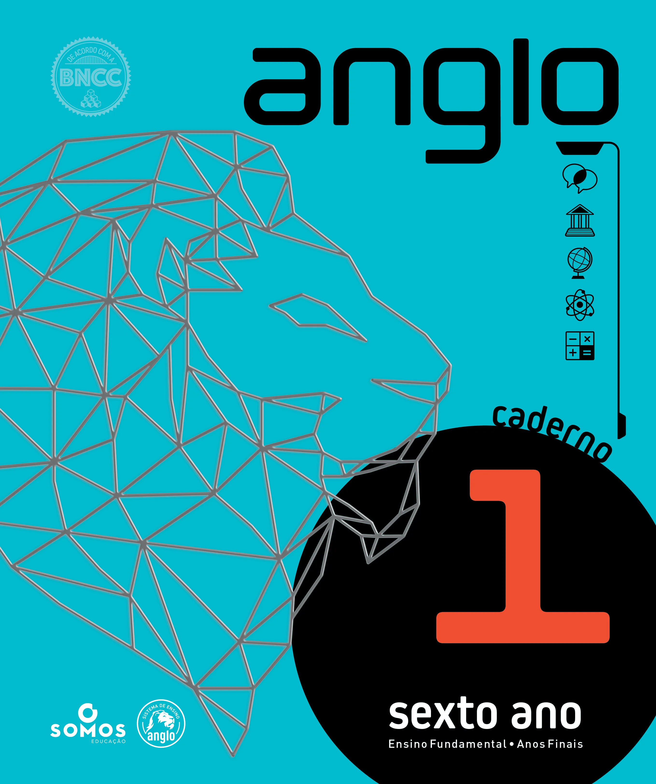 Material Didático  Ensino Fundamental 6º Ano 
