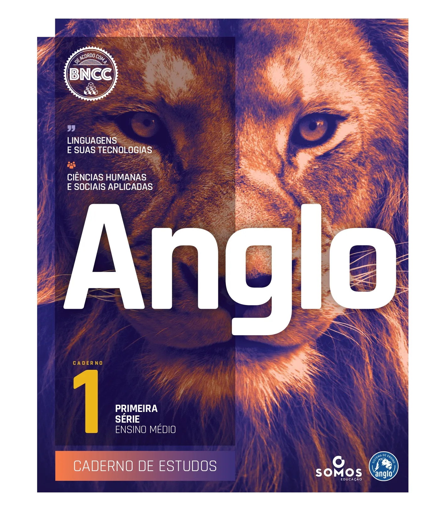 Material Didático  Ensino Médio 1 Ano