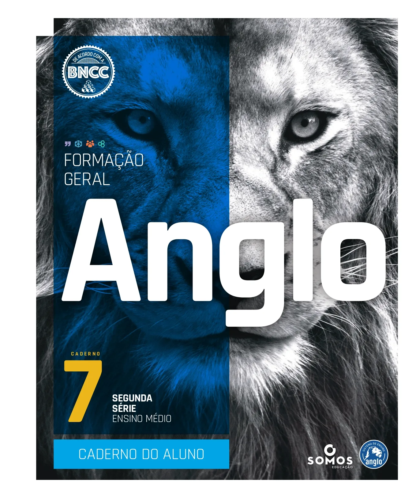 Material Didático  Ensino Médio 2 Série